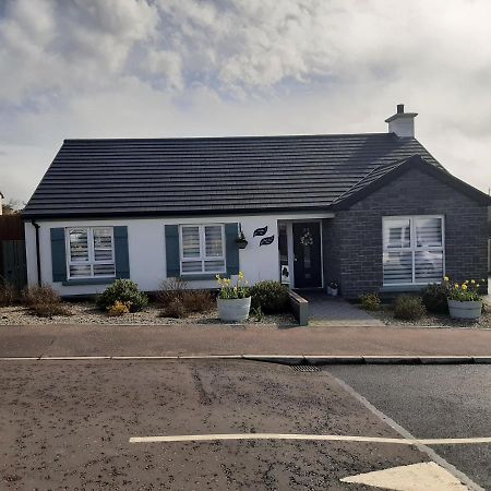 Number 14 Bed and Breakfast Downpatrick Eksteriør billede