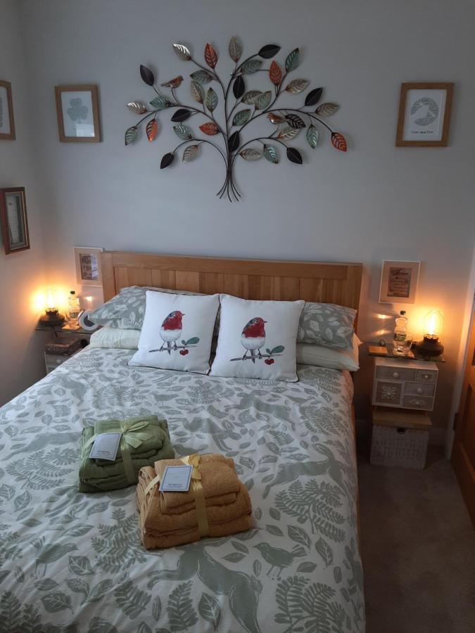 Number 14 Bed and Breakfast Downpatrick Eksteriør billede