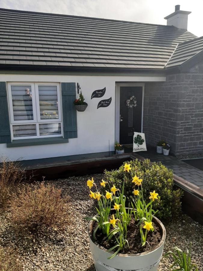 Number 14 Bed and Breakfast Downpatrick Eksteriør billede
