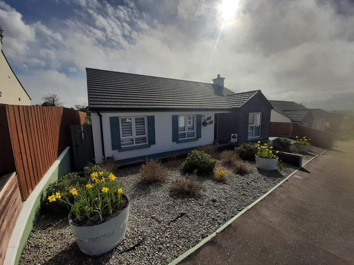 Number 14 Bed and Breakfast Downpatrick Eksteriør billede